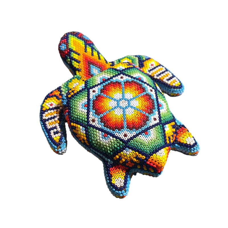 Tortuga de Chaquira - FM03